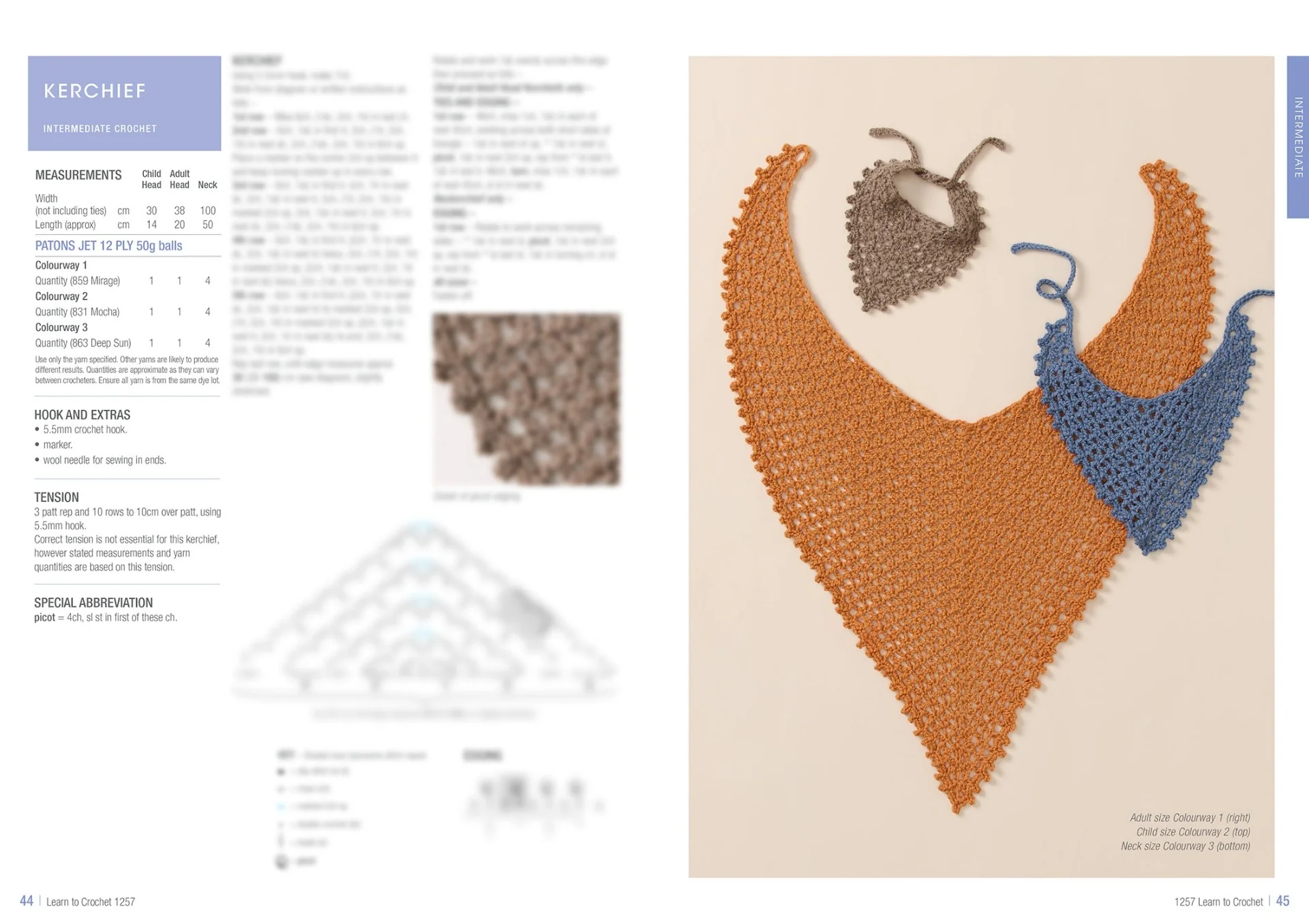 Patons Learn To Crochet 1257 - Image 23