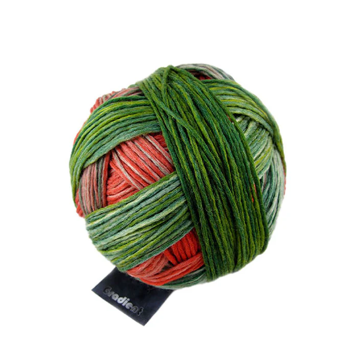 Schoppel-Wolle Gradient 8 Ply - Image 2